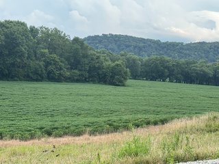 Property photo 86 - REAL ESTATE AUCTION - 238+/- ACRES OFFERED IN 7 TRACTS IN DEARBORN COUNTY INDIANA