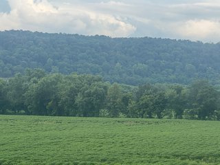 Property photo 87 - REAL ESTATE AUCTION - 238+/- ACRES OFFERED IN 7 TRACTS IN DEARBORN COUNTY INDIANA