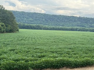 Property photo 89 - REAL ESTATE AUCTION - 238+/- ACRES OFFERED IN 7 TRACTS IN DEARBORN COUNTY INDIANA