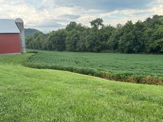 Property photo 91 - REAL ESTATE AUCTION - 238+/- ACRES OFFERED IN 7 TRACTS IN DEARBORN COUNTY INDIANA