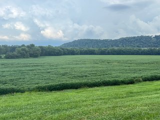 Property photo 94 - REAL ESTATE AUCTION - 238+/- ACRES OFFERED IN 7 TRACTS IN DEARBORN COUNTY INDIANA