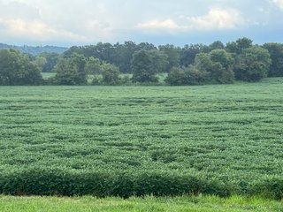Property photo 95 - REAL ESTATE AUCTION - 238+/- ACRES OFFERED IN 7 TRACTS IN DEARBORN COUNTY INDIANA