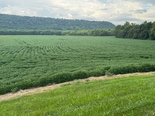 Property photo 97 - REAL ESTATE AUCTION - 238+/- ACRES OFFERED IN 7 TRACTS IN DEARBORN COUNTY INDIANA