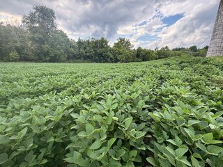 Property photo 101 - REAL ESTATE AUCTION - 238+/- ACRES OFFERED IN 7 TRACTS IN DEARBORN COUNTY INDIANA