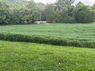 Property photo 106 - REAL ESTATE AUCTION - 238+/- ACRES OFFERED IN 7 TRACTS IN DEARBORN COUNTY INDIANA
