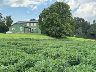 Property photo 114 - REAL ESTATE AUCTION - 238+/- ACRES OFFERED IN 7 TRACTS IN DEARBORN COUNTY INDIANA