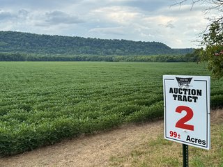 Property photo 119 - REAL ESTATE AUCTION - 238+/- ACRES OFFERED IN 7 TRACTS IN DEARBORN COUNTY INDIANA