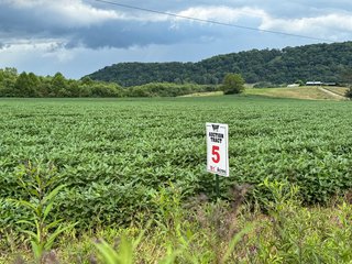 Property photo 131 - REAL ESTATE AUCTION - 238+/- ACRES OFFERED IN 7 TRACTS IN DEARBORN COUNTY INDIANA