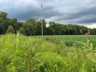 Property photo 132 - REAL ESTATE AUCTION - 238+/- ACRES OFFERED IN 7 TRACTS IN DEARBORN COUNTY INDIANA