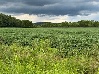 Property photo 133 - REAL ESTATE AUCTION - 238+/- ACRES OFFERED IN 7 TRACTS IN DEARBORN COUNTY INDIANA
