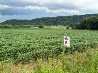 Property photo 134 - REAL ESTATE AUCTION - 238+/- ACRES OFFERED IN 7 TRACTS IN DEARBORN COUNTY INDIANA