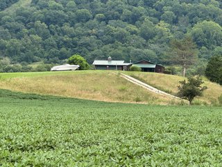 Property photo 135 - REAL ESTATE AUCTION - 238+/- ACRES OFFERED IN 7 TRACTS IN DEARBORN COUNTY INDIANA