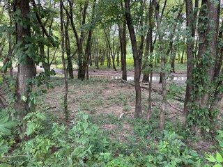 Property photo 140 - REAL ESTATE AUCTION - 238+/- ACRES OFFERED IN 7 TRACTS IN DEARBORN COUNTY INDIANA