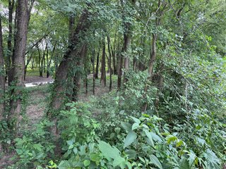 Property photo 141 - REAL ESTATE AUCTION - 238+/- ACRES OFFERED IN 7 TRACTS IN DEARBORN COUNTY INDIANA