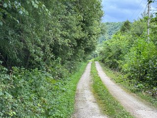 Property photo 142 - REAL ESTATE AUCTION - 238+/- ACRES OFFERED IN 7 TRACTS IN DEARBORN COUNTY INDIANA