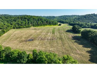 Property photo 19 - REAL ESTATE AUCTION - 238+/- ACRES OFFERED IN 7 TRACTS IN DEARBORN COUNTY INDIANA