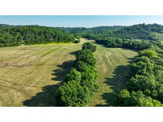 Property photo 20 - REAL ESTATE AUCTION - 238+/- ACRES OFFERED IN 7 TRACTS IN DEARBORN COUNTY INDIANA