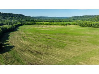 Property photo 21 - REAL ESTATE AUCTION - 238+/- ACRES OFFERED IN 7 TRACTS IN DEARBORN COUNTY INDIANA
