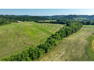 Property photo 23 - REAL ESTATE AUCTION - 238+/- ACRES OFFERED IN 7 TRACTS IN DEARBORN COUNTY INDIANA