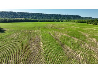 Property photo 25 - REAL ESTATE AUCTION - 238+/- ACRES OFFERED IN 7 TRACTS IN DEARBORN COUNTY INDIANA