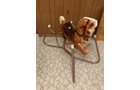 Property photo 103 - TIMED ONLINE ONLY PERSONAL PROPERTY AUCTION IN ALLEN COUNTY, INDIANA