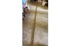 Property photo 156 - TIMED ONLINE ONLY PERSONAL PROPERTY AUCTION IN NOBLE COUNTY INDIANA