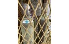 Property photo 407 - TIMED ONLINE ONLY PERSONAL PROPERTY AUCTION IN NOBLE COUNTY INDIANA