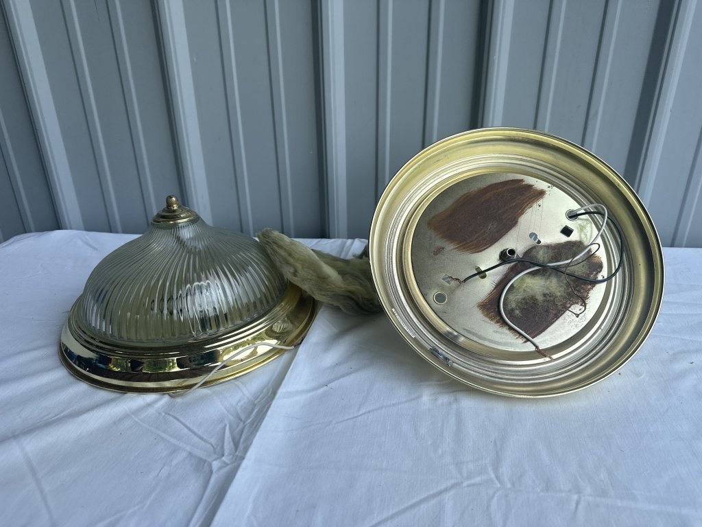 Property photo 95 - TIMED ONLINE ONLY PERSONAL PROPERTY AUCTION IN BRANCH COUNTY MICHIGAN
