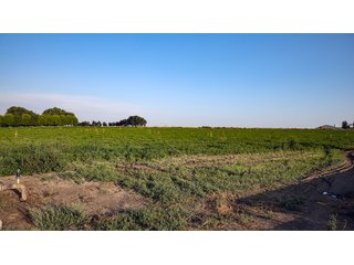 Property photo 445 - FARMLAND AUCTION -747.5+/-ACRES OFFERED IN 11 TRACTS IN FRANKLIN COUNTY, WASHINGTON