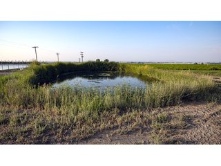 Property photo 447 - FARMLAND AUCTION -747.5+/-ACRES OFFERED IN 11 TRACTS IN FRANKLIN COUNTY, WASHINGTON