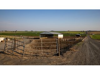 Property photo 183 - FARMLAND AUCTION -747.5+/-ACRES OFFERED IN 11 TRACTS IN FRANKLIN COUNTY, WASHINGTON