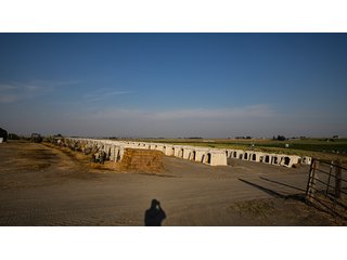 Property photo 184 - FARMLAND AUCTION -747.5+/-ACRES OFFERED IN 11 TRACTS IN FRANKLIN COUNTY, WASHINGTON