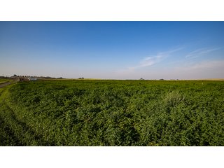 Property photo 106 - FARMLAND AUCTION -747.5+/-ACRES OFFERED IN 11 TRACTS IN FRANKLIN COUNTY, WASHINGTON