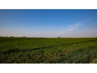 Property photo 115 - FARMLAND AUCTION -747.5+/-ACRES OFFERED IN 11 TRACTS IN FRANKLIN COUNTY, WASHINGTON