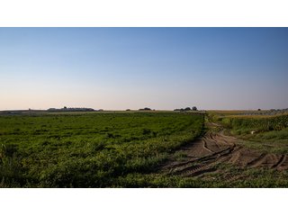 Property photo 117 - FARMLAND AUCTION -747.5+/-ACRES OFFERED IN 11 TRACTS IN FRANKLIN COUNTY, WASHINGTON
