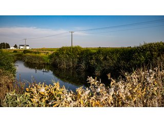 Property photo 16 - FARMLAND AUCTION -747.5+/-ACRES OFFERED IN 11 TRACTS IN FRANKLIN COUNTY, WASHINGTON
