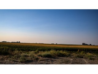 Property photo 15 - FARMLAND AUCTION -747.5+/-ACRES OFFERED IN 11 TRACTS IN FRANKLIN COUNTY, WASHINGTON