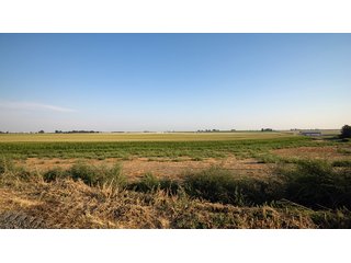 Property photo 624 - FARMLAND AUCTION -747.5+/-ACRES OFFERED IN 11 TRACTS IN FRANKLIN COUNTY, WASHINGTON