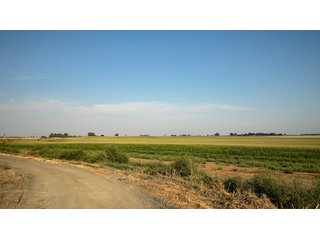 Property photo 625 - FARMLAND AUCTION -747.5+/-ACRES OFFERED IN 11 TRACTS IN FRANKLIN COUNTY, WASHINGTON