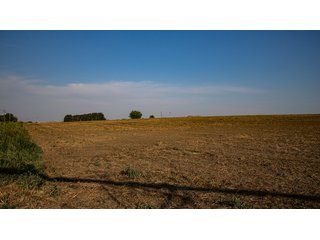 Property photo 570 - FARMLAND AUCTION -747.5+/-ACRES OFFERED IN 11 TRACTS IN FRANKLIN COUNTY, WASHINGTON