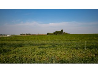 Property photo 571 - FARMLAND AUCTION -747.5+/-ACRES OFFERED IN 11 TRACTS IN FRANKLIN COUNTY, WASHINGTON