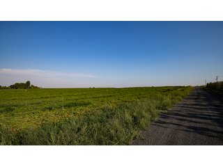 Property photo 572 - FARMLAND AUCTION -747.5+/-ACRES OFFERED IN 11 TRACTS IN FRANKLIN COUNTY, WASHINGTON