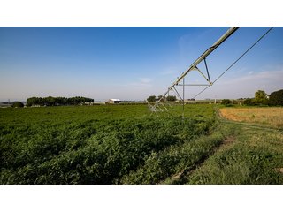 Property photo 459 - FARMLAND AUCTION -747.5+/-ACRES OFFERED IN 11 TRACTS IN FRANKLIN COUNTY, WASHINGTON