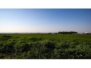 Property photo 460 - FARMLAND AUCTION -747.5+/-ACRES OFFERED IN 11 TRACTS IN FRANKLIN COUNTY, WASHINGTON