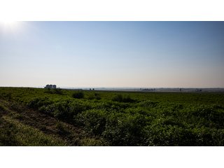 Property photo 461 - FARMLAND AUCTION -747.5+/-ACRES OFFERED IN 11 TRACTS IN FRANKLIN COUNTY, WASHINGTON