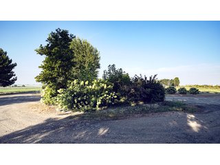 Property photo 476 - FARMLAND AUCTION -747.5+/-ACRES OFFERED IN 11 TRACTS IN FRANKLIN COUNTY, WASHINGTON