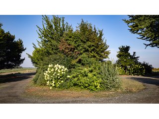 Property photo 478 - FARMLAND AUCTION -747.5+/-ACRES OFFERED IN 11 TRACTS IN FRANKLIN COUNTY, WASHINGTON
