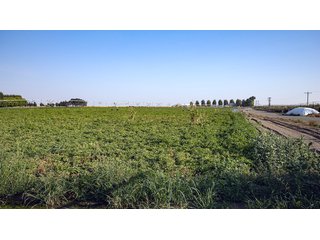 Property photo 453 - FARMLAND AUCTION -747.5+/-ACRES OFFERED IN 11 TRACTS IN FRANKLIN COUNTY, WASHINGTON