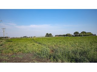 Property photo 454 - FARMLAND AUCTION -747.5+/-ACRES OFFERED IN 11 TRACTS IN FRANKLIN COUNTY, WASHINGTON
