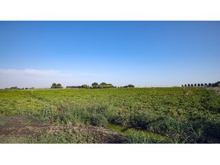 Property photo 455 - FARMLAND AUCTION -747.5+/-ACRES OFFERED IN 11 TRACTS IN FRANKLIN COUNTY, WASHINGTON
